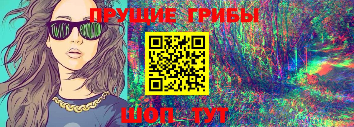 Псилоцибиновые грибы Psilocybine cubensis Сланцы
