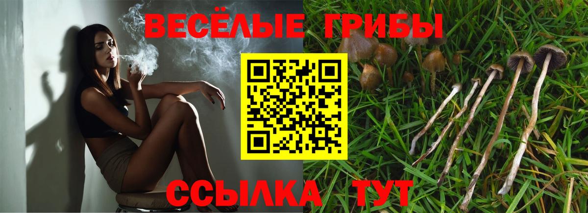 Псилоцибиновые грибы мицелий  Псилоцибиновые грибы мицелий  Сланцы  Вход с VPN 